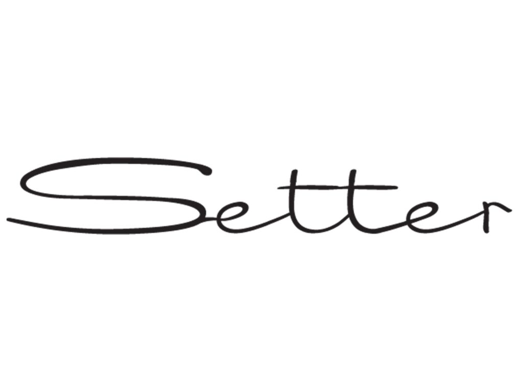 Setter / mindset logo